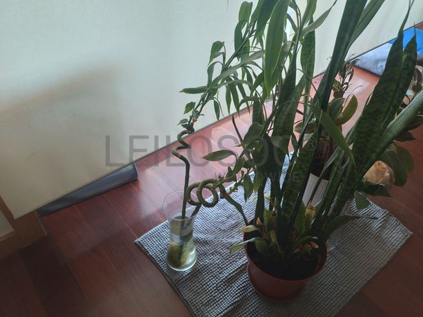 Mobiliário e Decoração · Eletrodomésticos