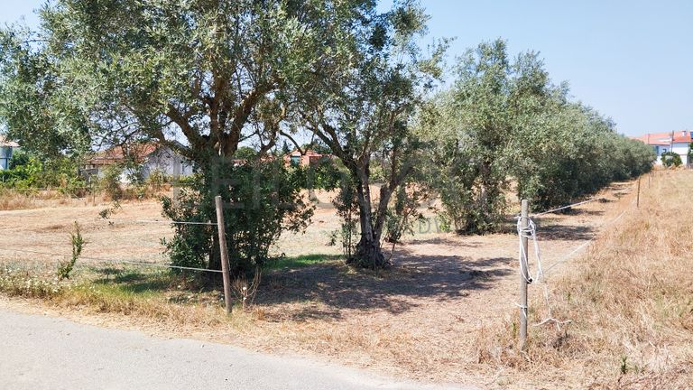 Terreno · Leiria