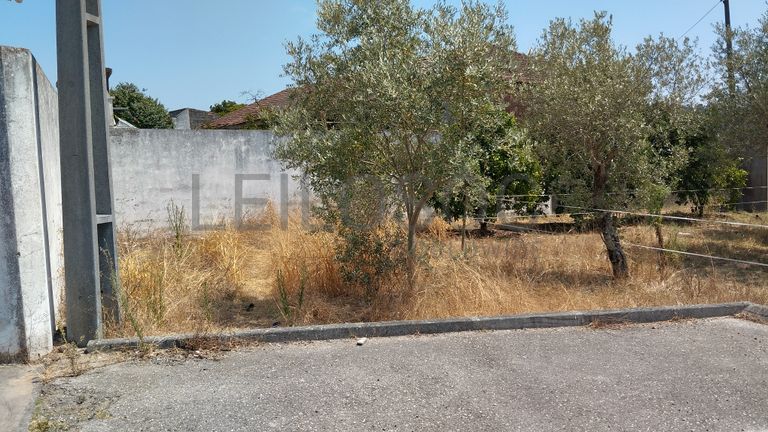 Terreno · Leiria