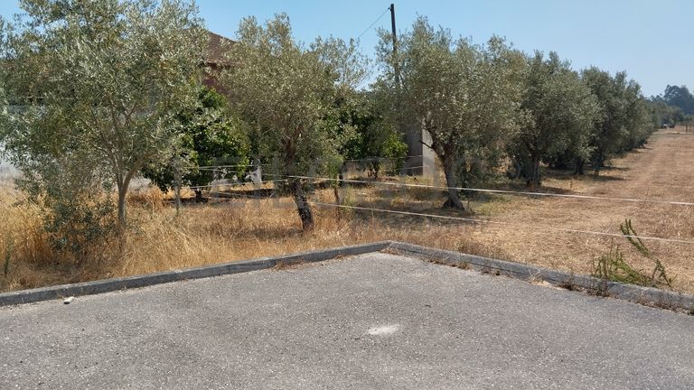 Terreno · Leiria