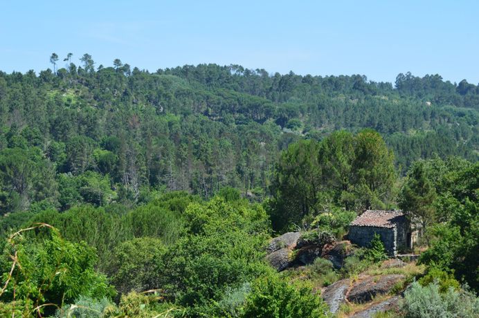 Aldeia Histórica de Póvoa Dão · Silgueiros, Viseu