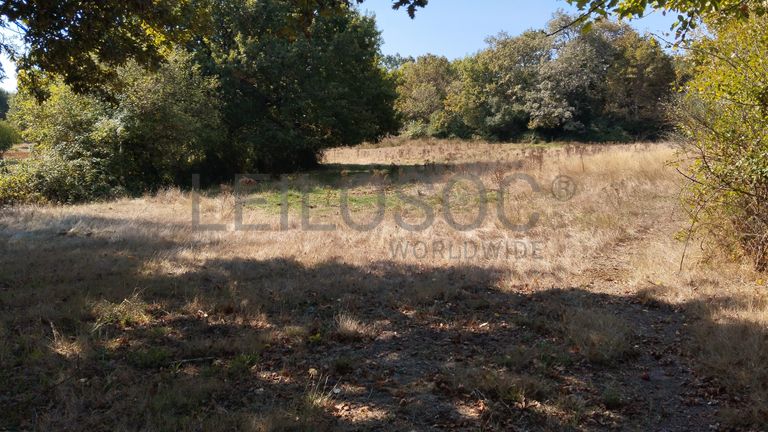 Proporção de ½ de Terreno · Vila Nova de Paiva