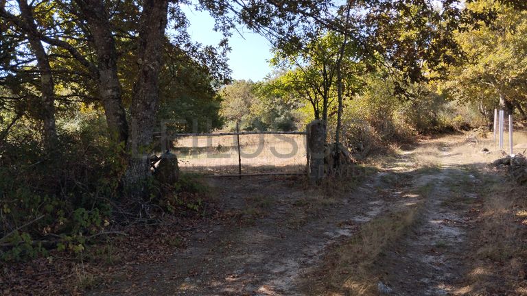 Proporção de ½ de Terreno · Vila Nova de Paiva