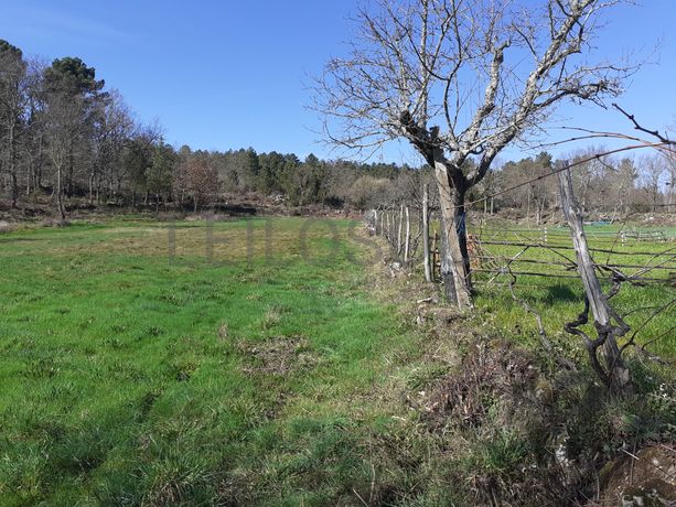 Quinhão Hereditário · Pena Verde, Aguiar da Beira