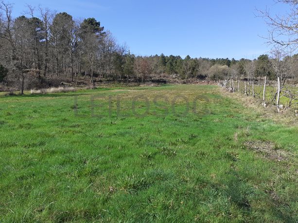 Quinhão Hereditário · Pena Verde, Aguiar da Beira