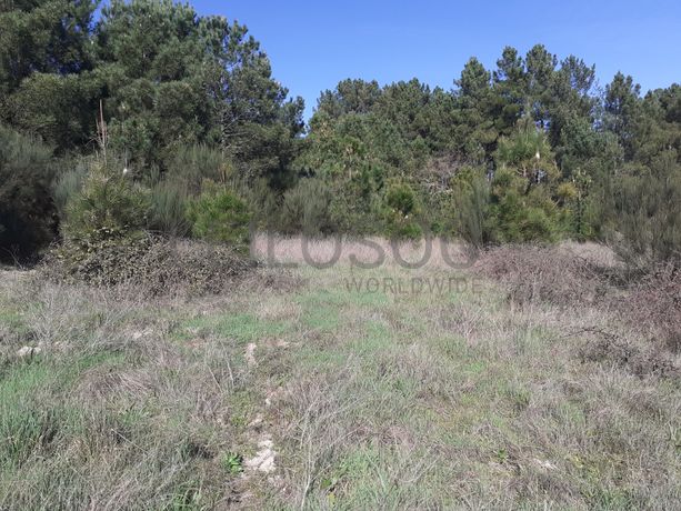 Quinhão Hereditário · Pena Verde, Aguiar da Beira