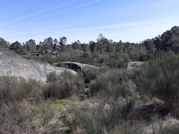Quinhão Hereditário · Pena Verde, Aguiar da Beira