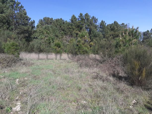 Quinhão Hereditário · Pena Verde, Aguiar da Beira