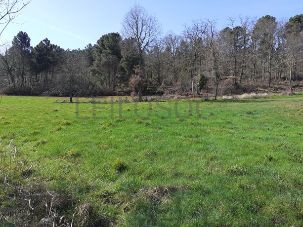 Quinhão Hereditário · Pena Verde, Aguiar da Beira