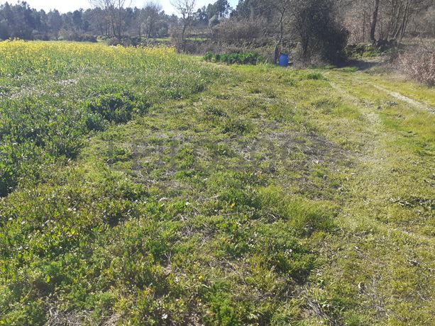 Quinhão Hereditário · Pena Verde, Aguiar da Beira