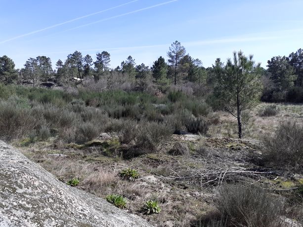 Quinhão Hereditário · Pena Verde, Aguiar da Beira