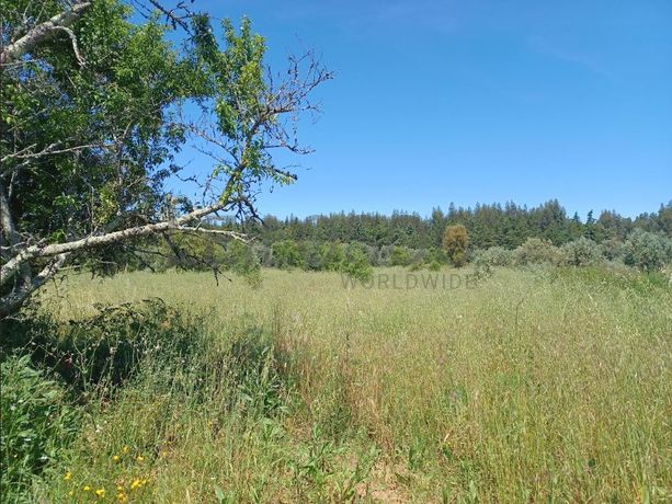 Terreno Rústico com 12.880 m² · Ferreira do Zêzere