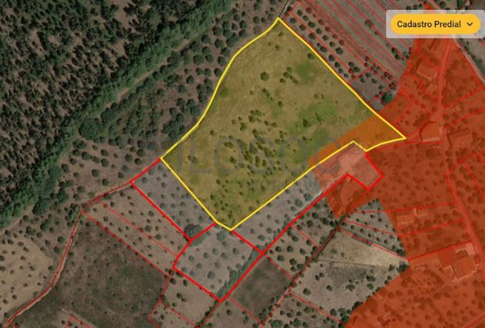 Terreno Rústico com 12.880 m² · Ferreira do Zêzere