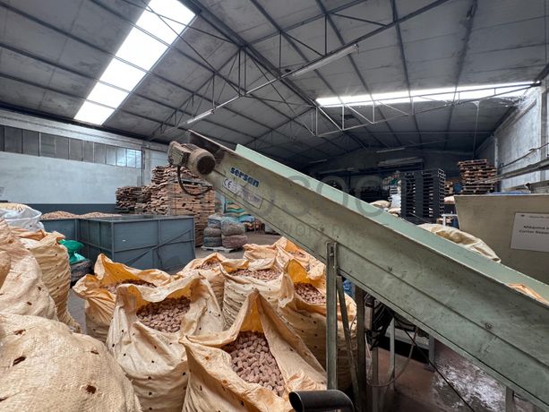 Tapetes Transportadores