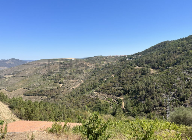 Terreno com 49.470 m² · Vila Seca, Viseu