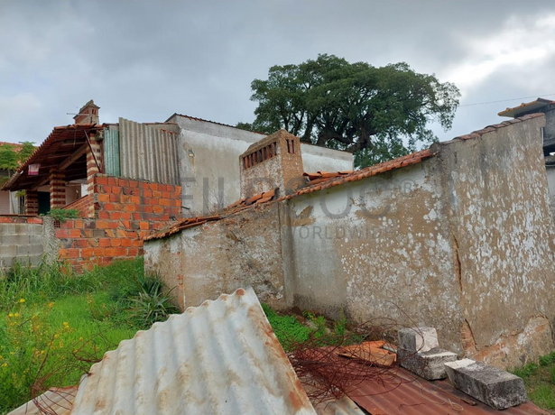 Moradia em Ruínas · Vila Nova da Barquinha, Santarém