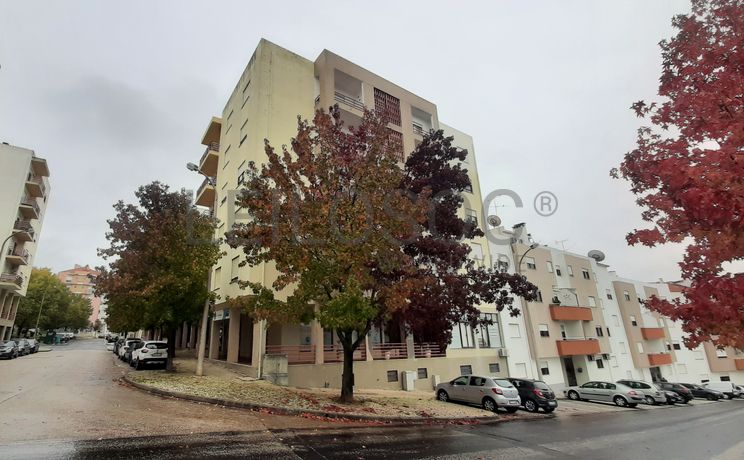 Loja · Torres Novas, Santarém