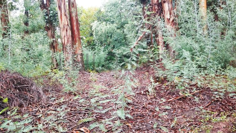 Terreno com 9.200 m² · Tondela