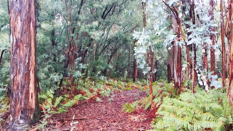 Terreno com 9.200 m² · Tondela