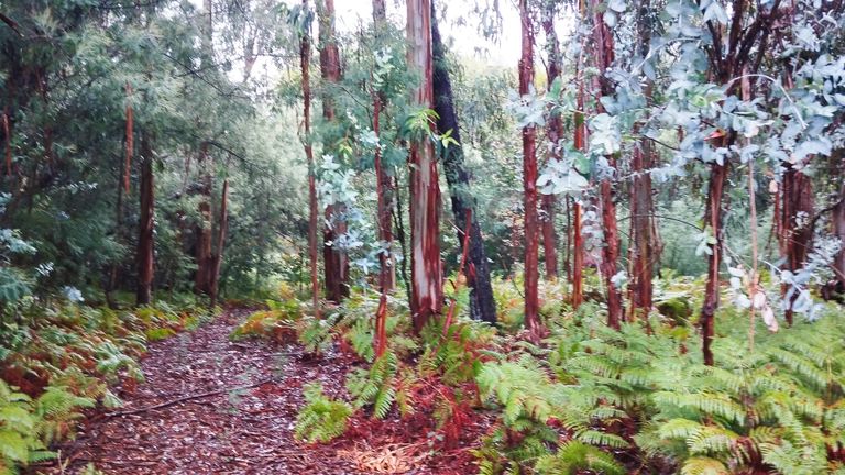 Terreno com 9.200 m² · Tondela