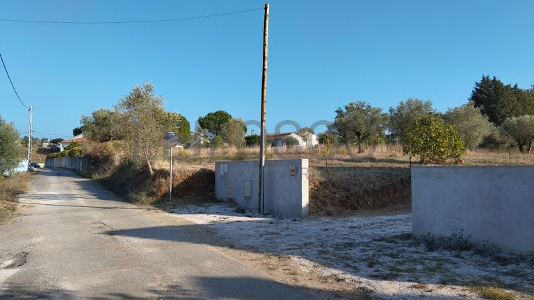 Proporção de 1/3 de Terreno · São Pedro de Tomar, Tomar