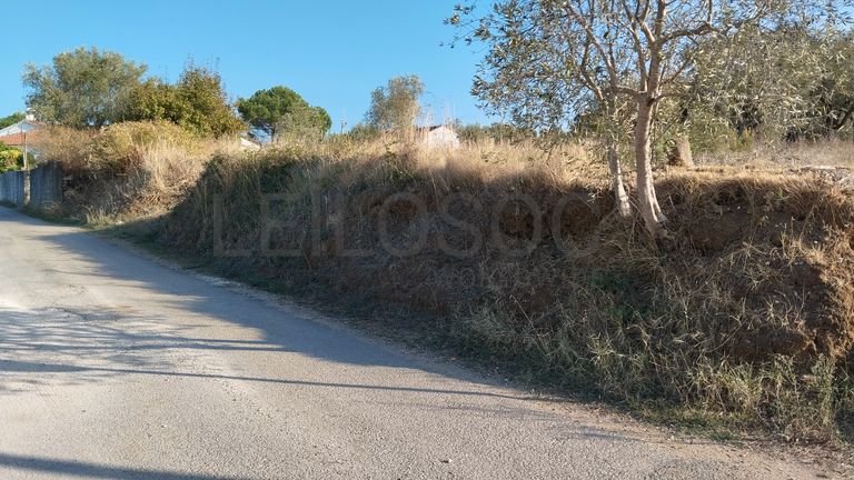 Proporção de 1/3 de Terreno · São Pedro de Tomar, Tomar