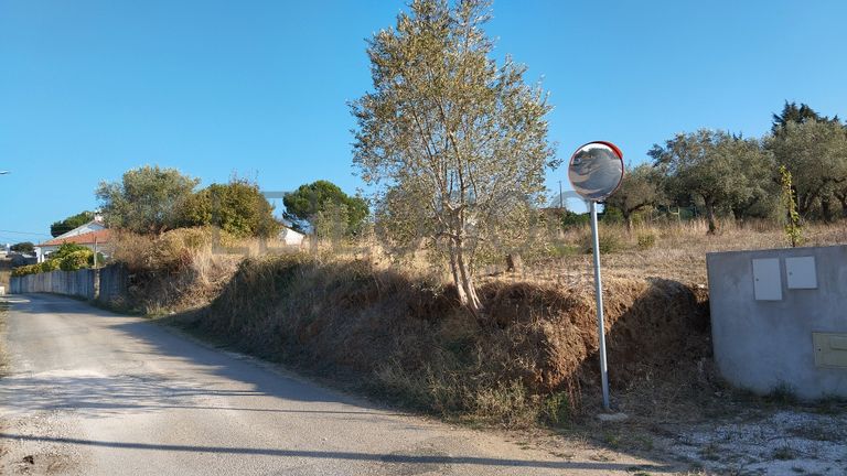 Proporção de 1/3 de Terreno · São Pedro de Tomar, Tomar