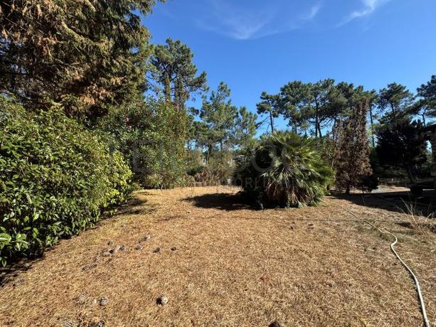 Moradia V5 com Piscina · Herdade da Aroeira, Charneca de Caparica