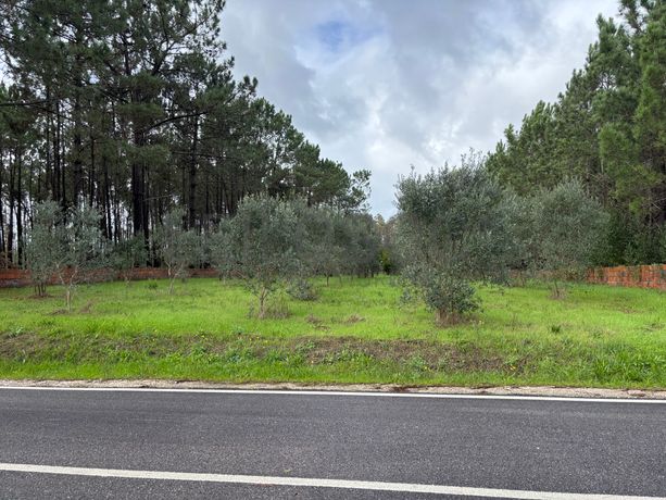 Terreno para Construção · Carriço, Pombal