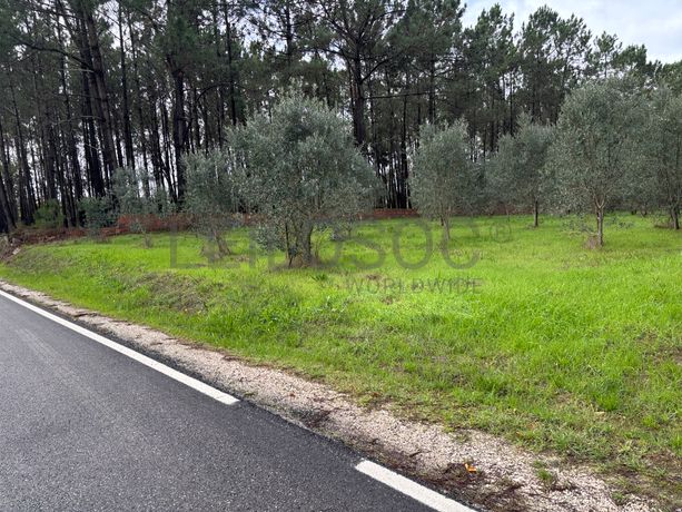 Terreno para Construção · Carriço, Pombal