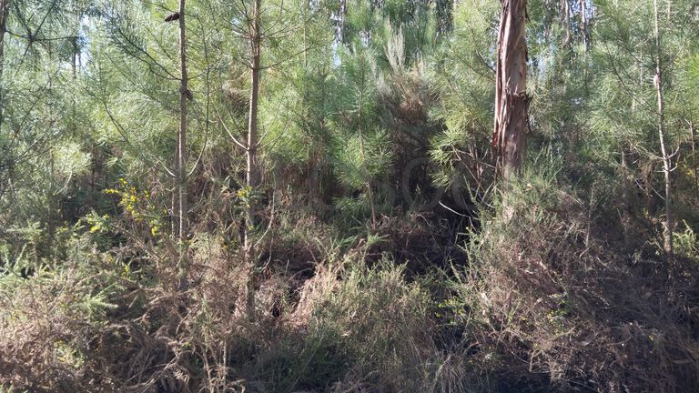 Terreno com 1.300 m² · Travanca de Lagos, Oliveira do Hospital