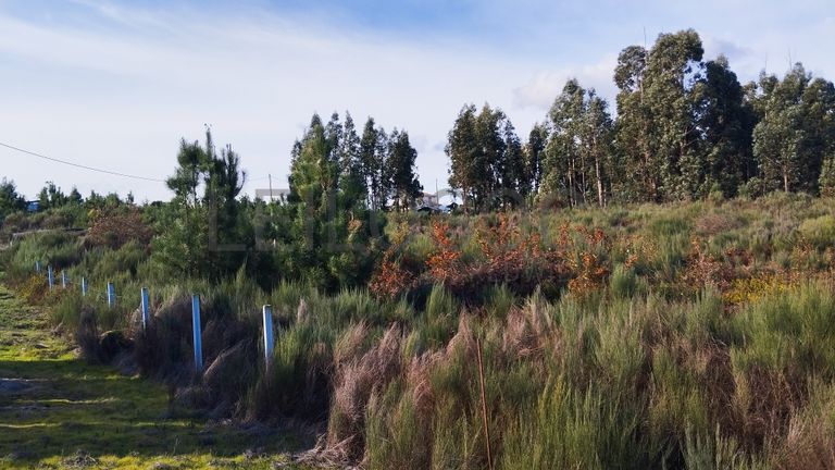 Terreno com 450 m² · Travanca de Lagos, Oliveira do Hospital