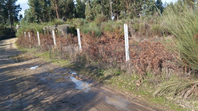 Terreno com 1.000 m² · Travanca de Lagos, Oliveira do Hospital