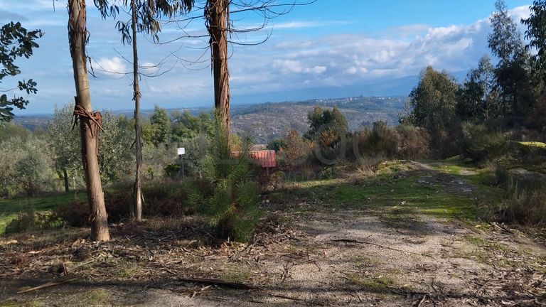 Terreno com 1.000 m² · Travanca de Lagos, Oliveira do Hospital