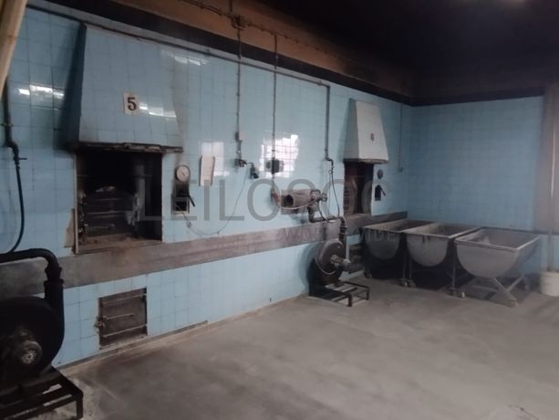 Estabelecimento Comercial · Torrão, Alcácer do Sal