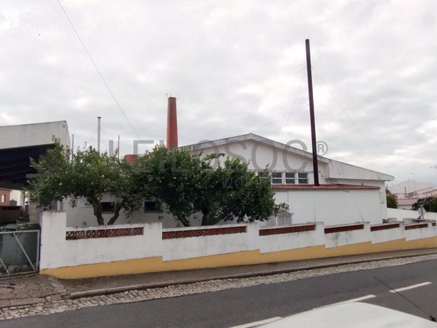 Estabelecimento Comercial · Torrão, Alcácer do Sal