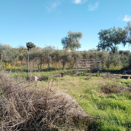 Moradia + Terrenos · Ladoeiro, Idanha-a-Nova