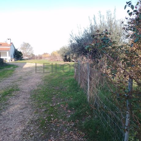 Moradia + Terrenos · Ladoeiro, Idanha-a-Nova