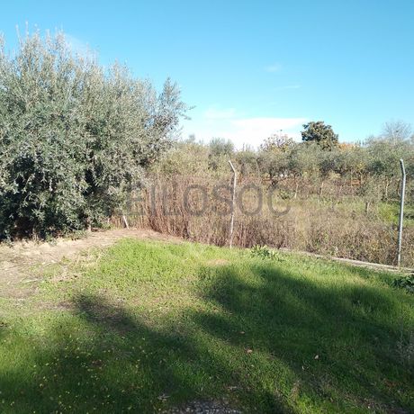 Moradia + Terrenos · Ladoeiro, Idanha-a-Nova