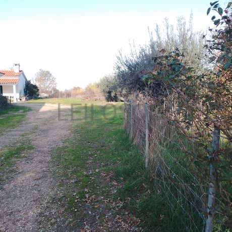 Moradia + Terrenos · Ladoeiro, Idanha-a-Nova