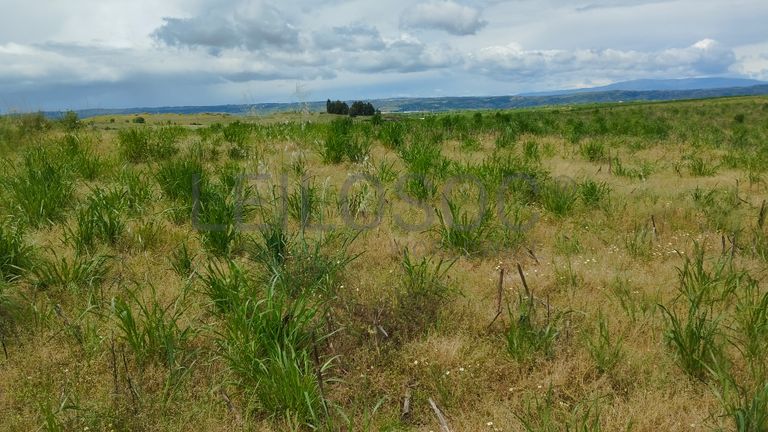 Terrenos com +35 hectares · Ladoeiro, Idanha-a-Nova