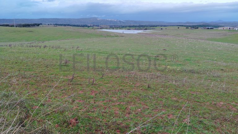 Terrenos com +35 hectares · Ladoeiro, Idanha-a-Nova