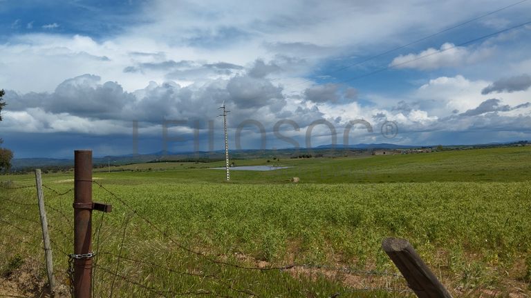 Terrenos com +35 hectares · Ladoeiro, Idanha-a-Nova