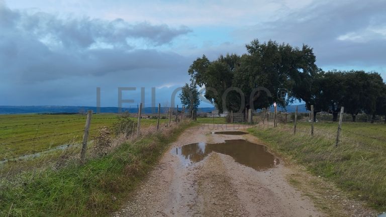 Terrenos com +35 hectares · Ladoeiro, Idanha-a-Nova
