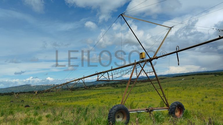 Terrenos com +35 hectares · Ladoeiro, Idanha-a-Nova