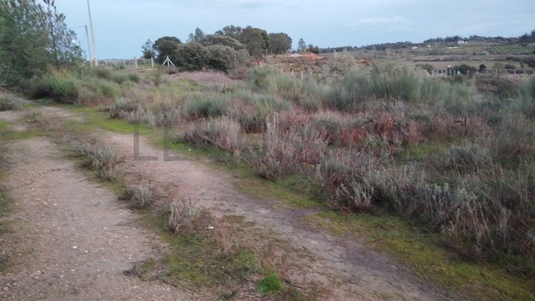 Terreno · Ladoeiro, Idanha-a-Nova