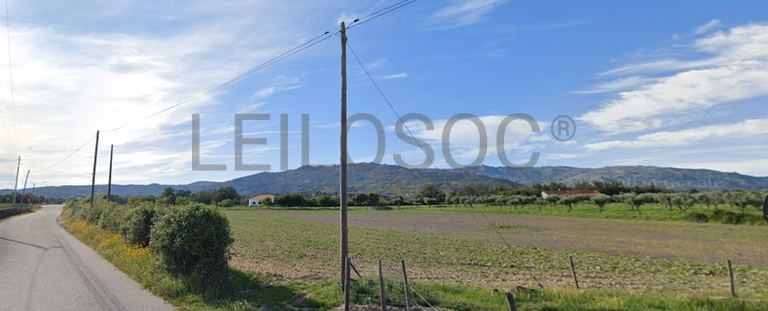 Quinta com +9 hectares · Castelo Novo, Fundão