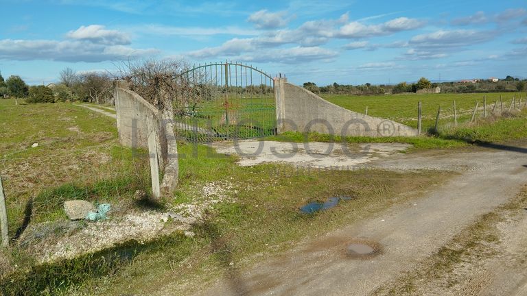 Quinta com +9 hectares · Castelo Novo, Fundão