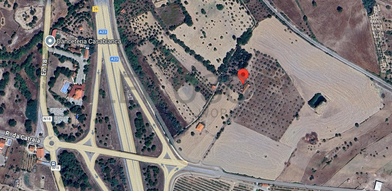 Quinta com +9 hectares · Castelo Novo, Fundão