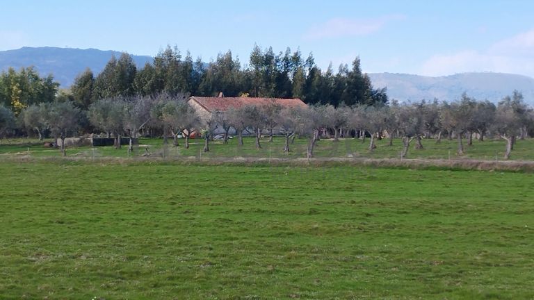 Quinta com +9 hectares · Castelo Novo, Fundão